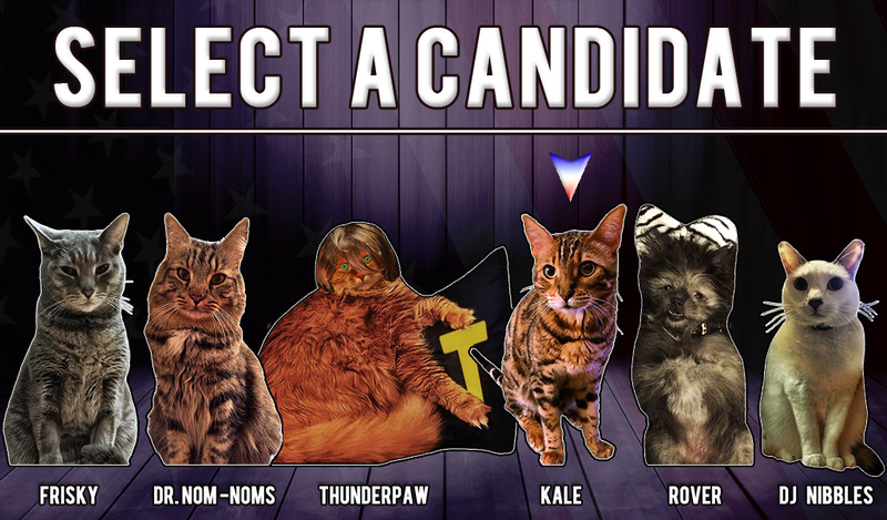 Illustration for article titled Let's Play Cat President, In Which Pictures Of Cats Run For President